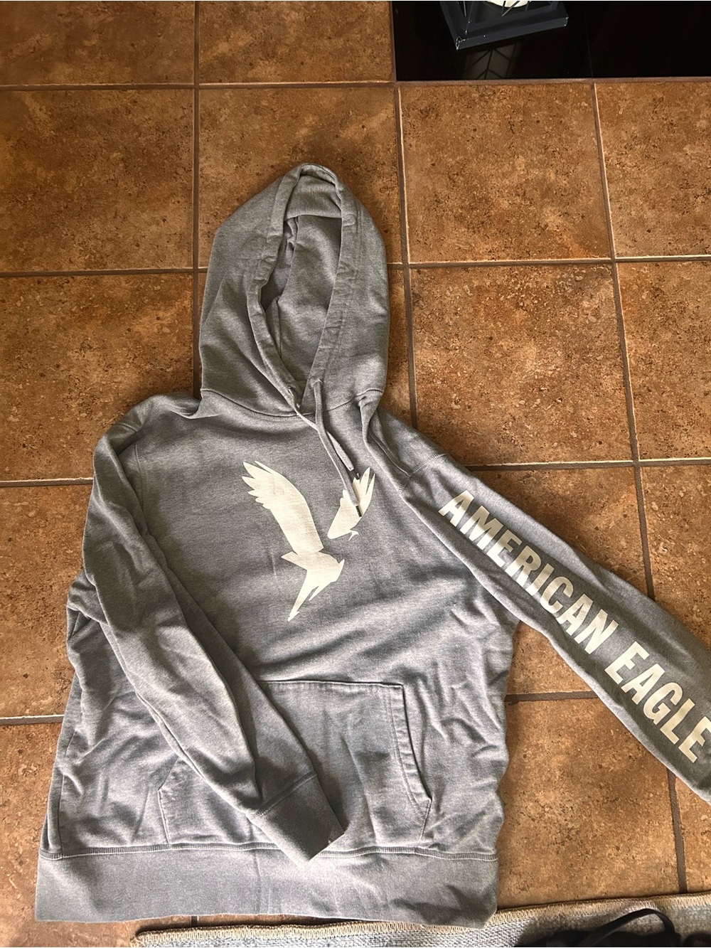 American Eagle Gray Logo Hoodie